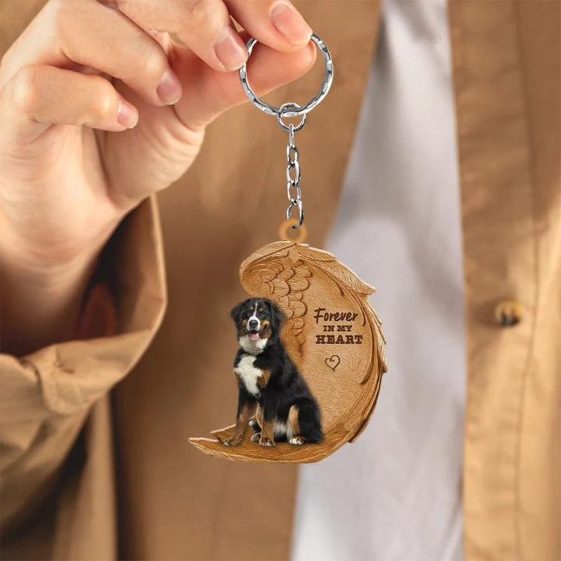 Appenzeller Hond | Na Zawsze w Moim Sercu