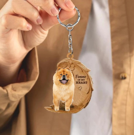Chow Chow | Na Zawsze w Moim Sercu