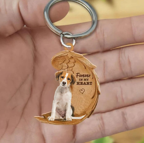 Holenderski Kooikerhondje | Na Zawsze w Moim Sercu