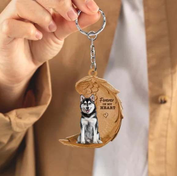 Pomsky | Na Zawsze w Moim Sercu
