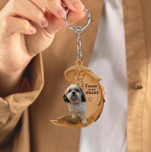 Shih tzu 10 | Na Zawsze w Moim Sercu