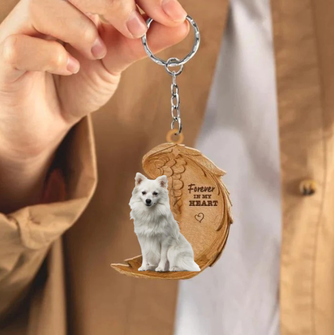 Spits Keeshond | Na Zawsze w Moim Sercu