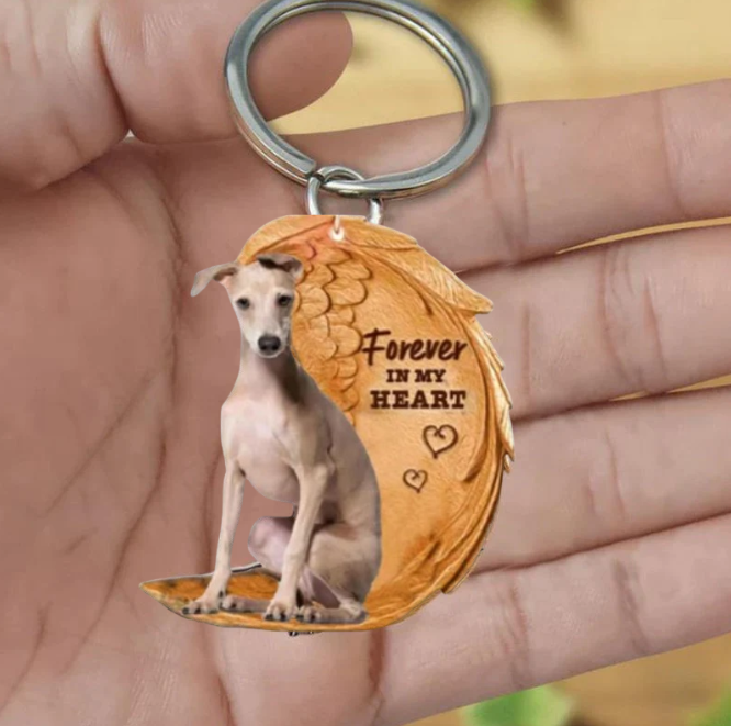 Whippet | Na Zawsze w Moim Sercu