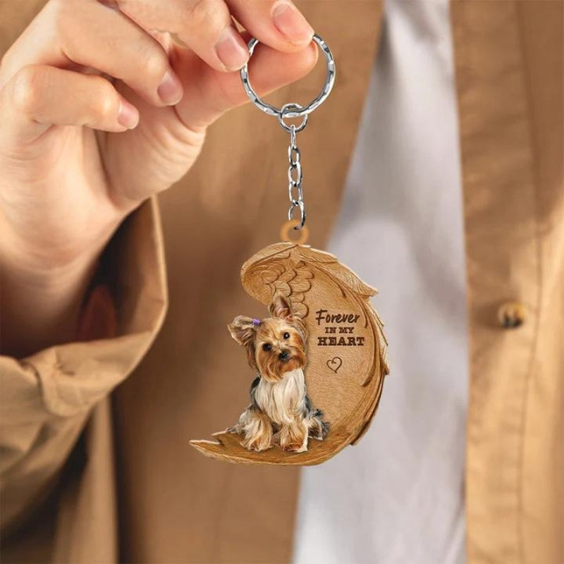 Yorkshire Terrier | Na Zawsze w Moim Sercu