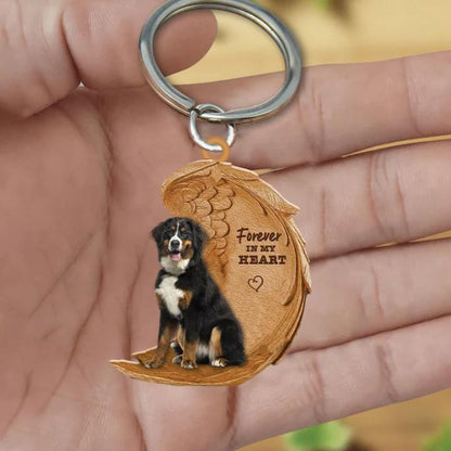 Appenzeller Hond | Na Zawsze w Moim Sercu