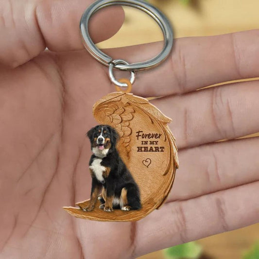 Appenzeller Hond | Na Zawsze w Moim Sercu