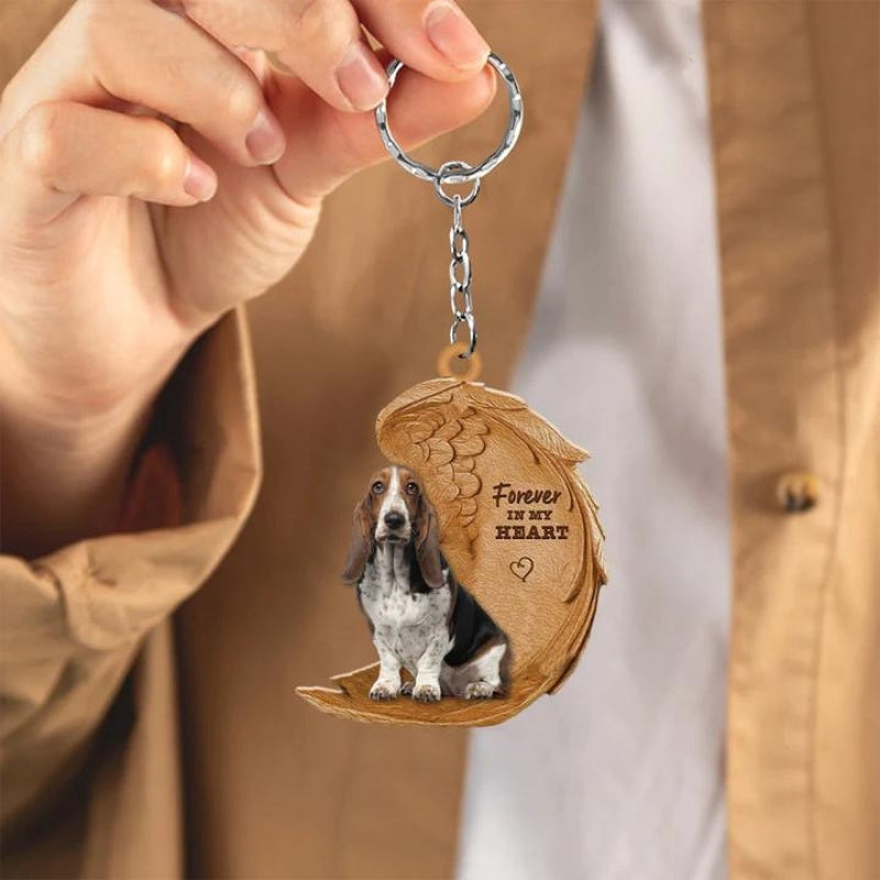 Basset Hound | Na Zawsze w Moim Sercu