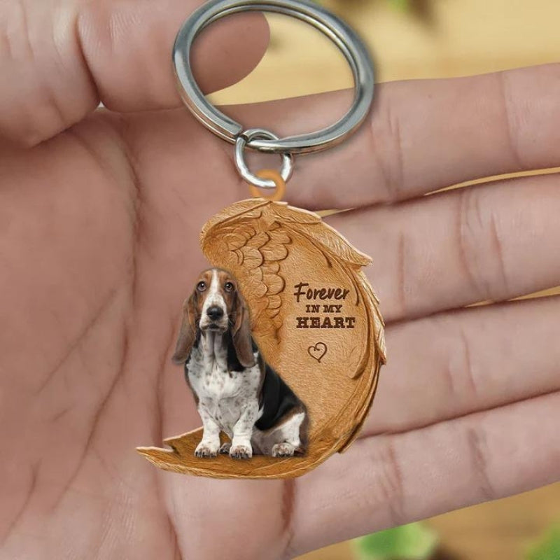 Basset Hound | Na Zawsze w Moim Sercu