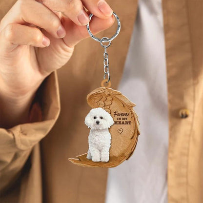 Bichon Frise | Na Zawsze w Moim Sercu
