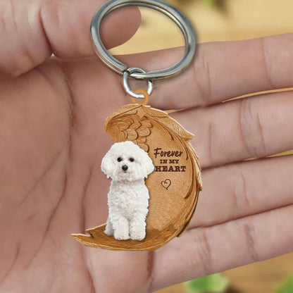 Bichon Frise | Na Zawsze w Moim Sercu