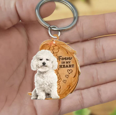 Bichon Frise | Na Zawsze w Moim Sercu