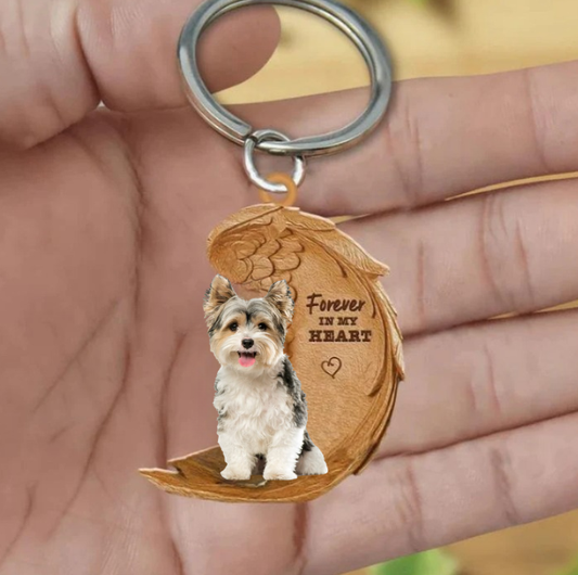 Biewer Yorkshire Terrier | Na Zawsze w Moim Sercu