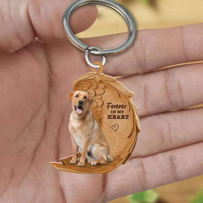Blond Labrador Retriever | Na Zawsze w Moim Sercu