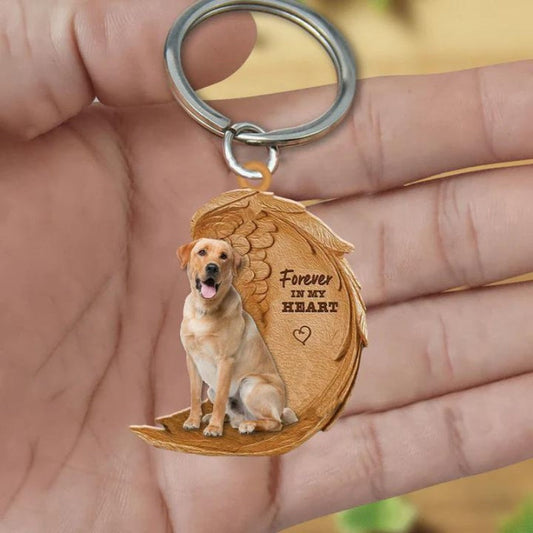 Blond Labrador Retriever | Na Zawsze w Moim Sercu