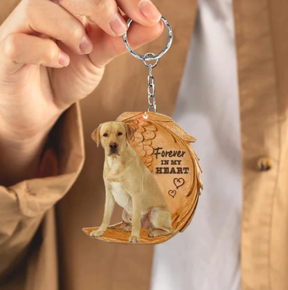 Blond Labrador | Na Zawsze w Moim Sercu