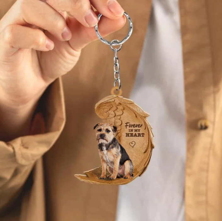 Border Terrier 2 | Na Zawsze w Moim Sercu