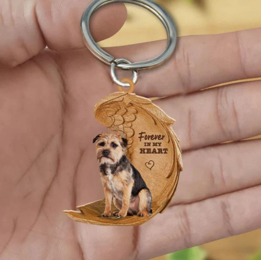 Border Terrier 2 | Na Zawsze w Moim Sercu