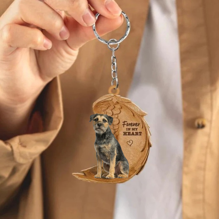 Border Terrier 3 | Na Zawsze w Moim Sercu