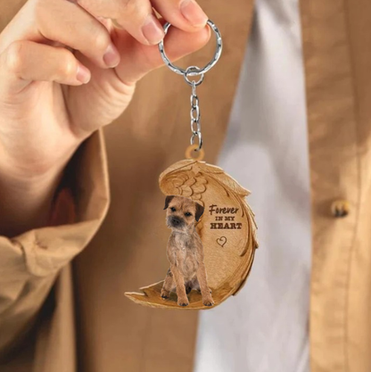 Border Terrier | Na Zawsze w Moim Sercu