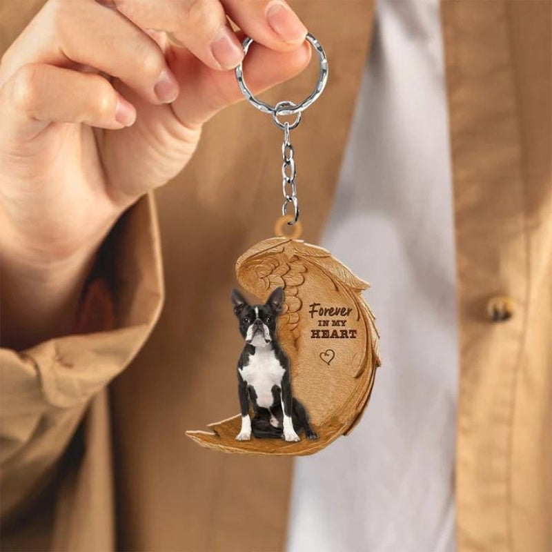 Boston Terrier | Na Zawsze w Moim Sercu