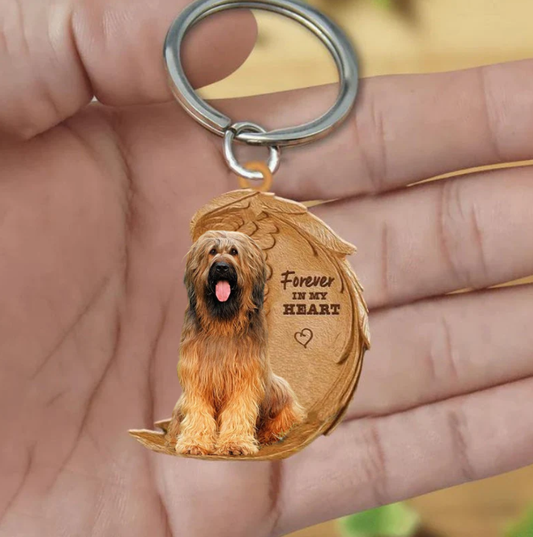 Briard | Na Zawsze w Moim Sercu
