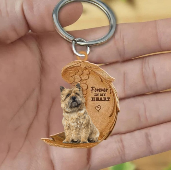 Cairn terrier 2 | Na Zawsze w Moim Sercu