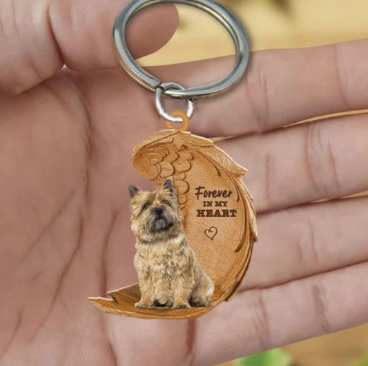 Cairn terrier 2 | Na Zawsze w Moim Sercu