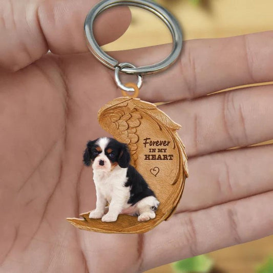 Cavalier Berner Spaniel | Na Zawsze w Moim Sercu