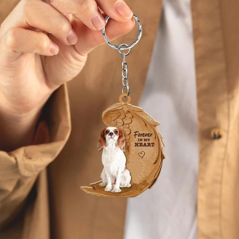 Cavalier King Charles Spaniel | Na Zawsze w Moim Sercu