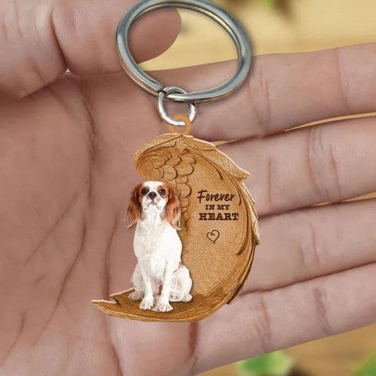 Cavalier King Charles Spaniel | Na Zawsze w Moim Sercu