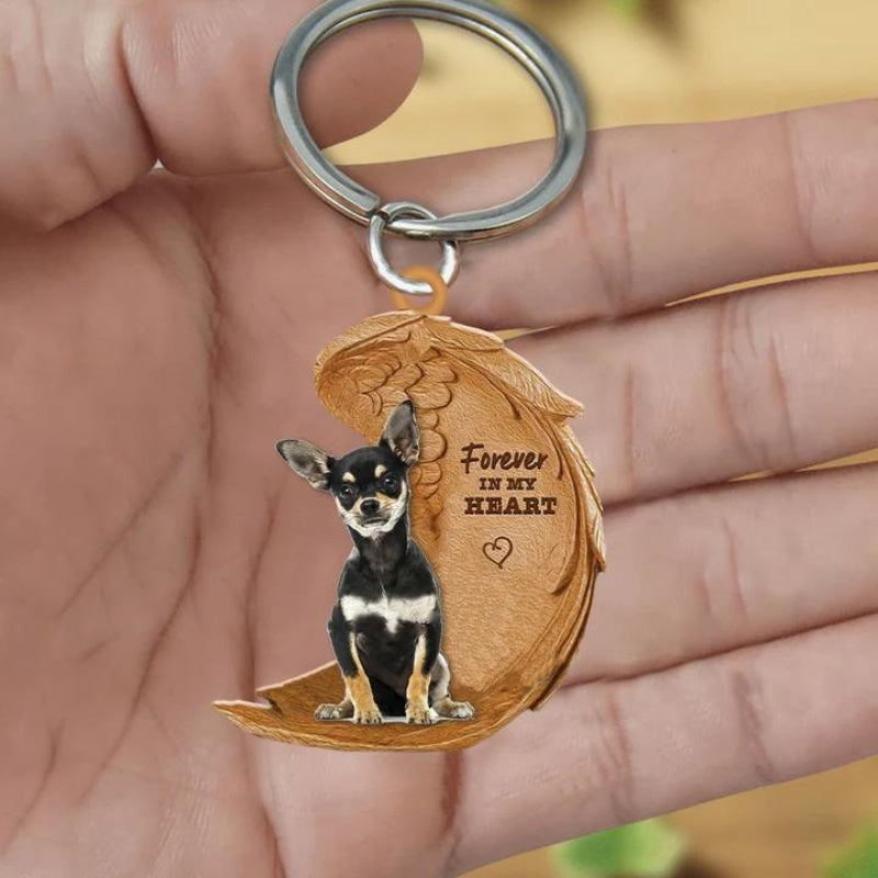 Chihuahua | Na Zawsze w Moim Sercu