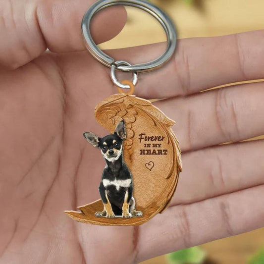 Chihuahua | Na Zawsze w Moim Sercu