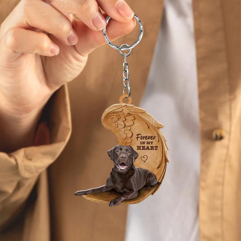 Czekoladowy Labrador Retriever | Na Zawsze w Moim Sercu