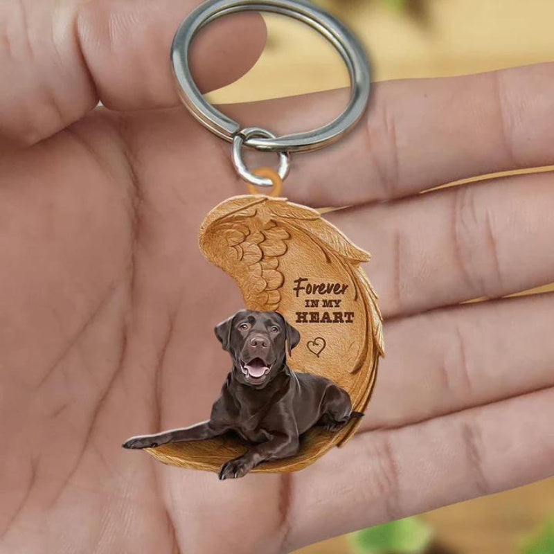 Czekoladowy Labrador Retriever | Na Zawsze w Moim Sercu
