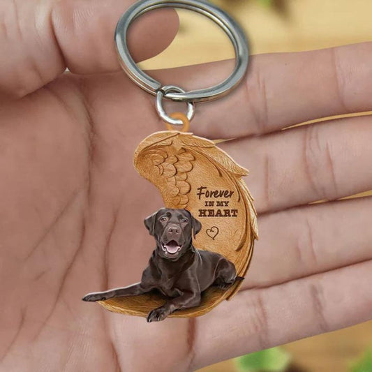 Czekoladowy Labrador Retriever | Na Zawsze w Moim Sercu