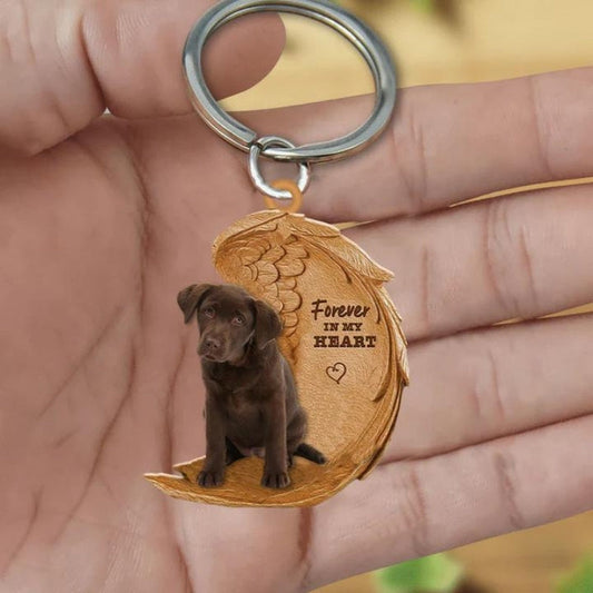 Czekoladowy Labrador | Na Zawsze w Moim Sercu