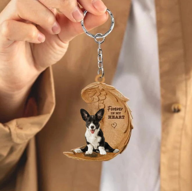 Corgi czarny i biały | Na Zawsze w Moim Sercu