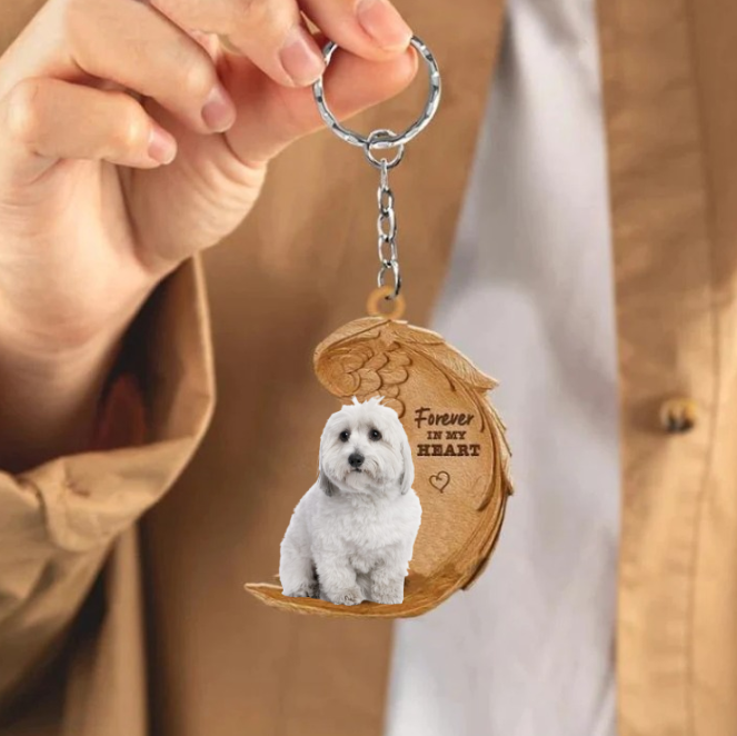 Coton de Tulear | Na Zawsze w Moim Sercu