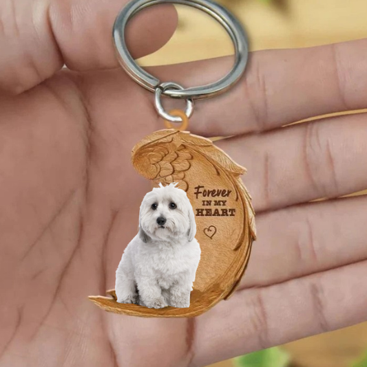 Coton de Tulear | Na Zawsze w Moim Sercu