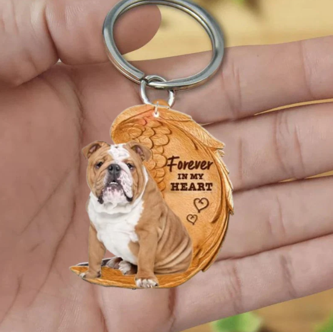Angielski Bulldog | Na Zawsze w Moim Sercu