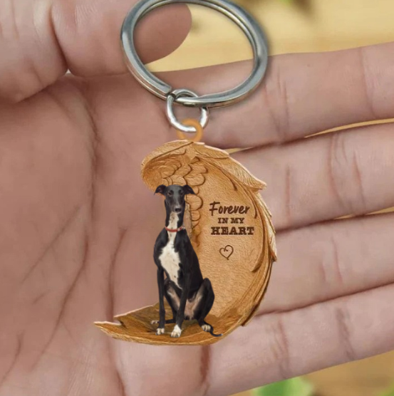 Galgo español 2 | Na Zawsze w Moim Sercu