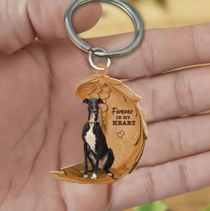 Galgo español 2 | Na Zawsze w Moim Sercu