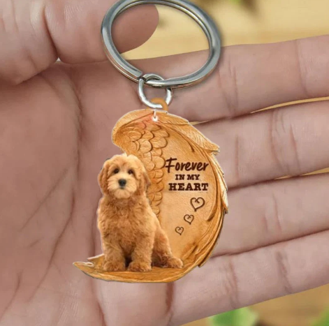 Golden Doodle | Na Zawsze w Moim Sercu