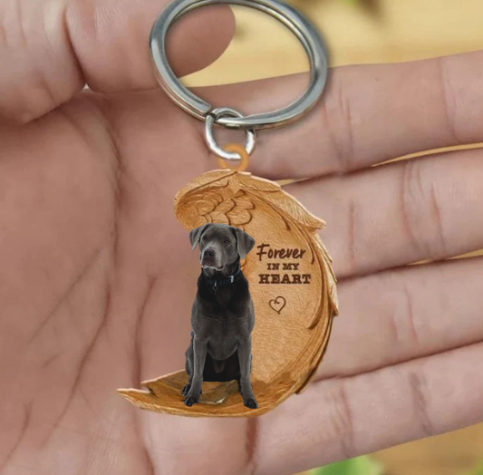 Szary Labrador Retriever | Na Zawsze w Moim Sercu