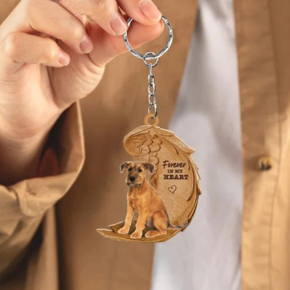 Irish terrier 2 | Na Zawsze w Moim Sercu