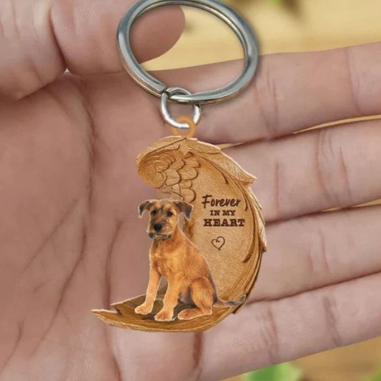 Irish terrier 2 | Na Zawsze w Moim Sercu