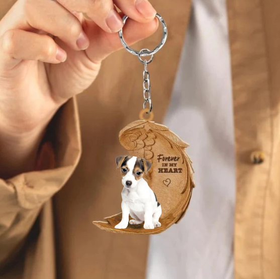 Jack Russel 2 | Na Zawsze w Moim Sercu