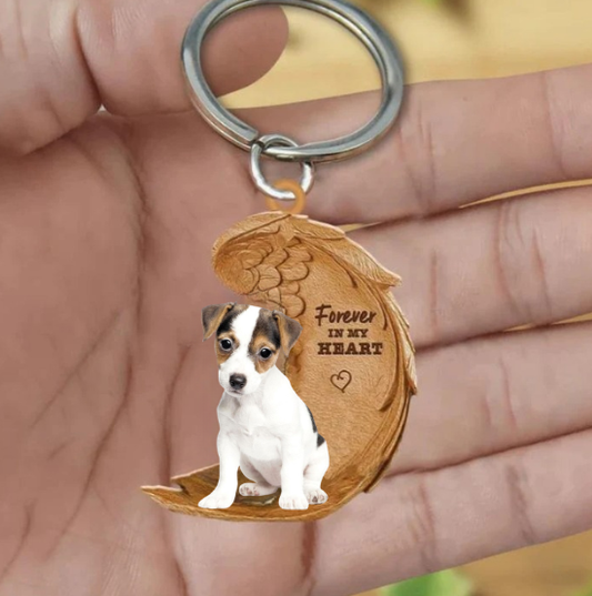 Jack Russel 2 | Na Zawsze w Moim Sercu