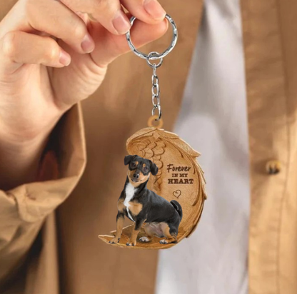Jack Russel 3 | Na Zawsze w Moim Sercu