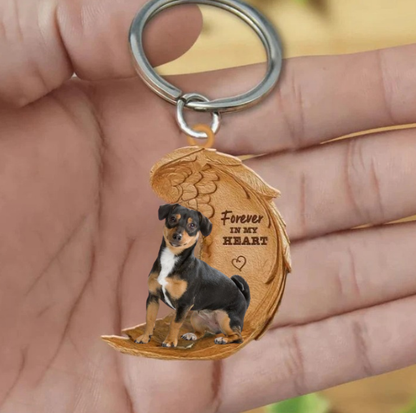 Jack Russel 3 | Na Zawsze w Moim Sercu